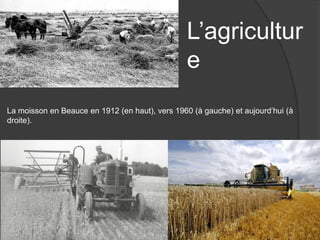 L’agricultur
e
La moisson en Beauce en 1912 (en haut), vers 1960 (à gauche) et aujourd’hui (à
droite).
 