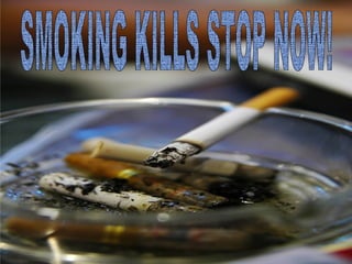SMOKING KILLS STOP NOW! 