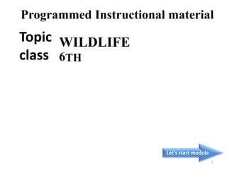 Topic
class
Let’s start module
1
WILDLIFE
6TH
Programmed Instructional material
 