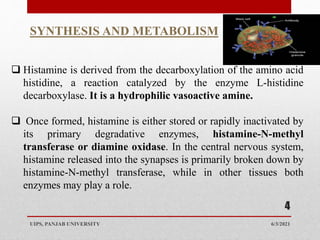 6/3/2021
UIPS, PANJAB UNIVERSITY
4
SYNTHESIS AND METABOLISM
 Histamine is derived from the decarboxylation of the amino acid
histidine, a reaction catalyzed by the enzyme L-histidine
decarboxylase. It is a hydrophilic vasoactive amine.
 Once formed, histamine is either stored or rapidly inactivated by
its primary degradative enzymes, histamine-N-methyl
transferase or diamine oxidase. In the central nervous system,
histamine released into the synapses is primarily broken down by
histamine-N-methyl transferase, while in other tissues both
enzymes may play a role.
 