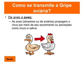 Como se transmite a Gripe aviária? <ul><li>De aves a  aves: </li></ul><ul><ul><li>As aves (silvestres ou de aviários) prop...
