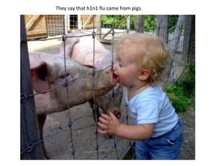 Theysaythat h1n1 flucamefrompigs. 