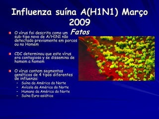 Influenza suína A(H1N1) Março
             2009
O vírus foi descrito como um
sub-tipo novo de A/H1N1 não
                                   Fatos
detectado previamente em porcos
ou no Homem

CDC determinou que este vírus
era contagioso y se dissemina de
homem a homem

O vírus contem segmentos
genéticos de 4 tipos diferentes
de influenza:
 –   Suína da América do Norte
 –   Avícola da América do Norte
 –   Humano da América do Norte
 –   Suína Euro-asiática
 