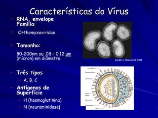 Características do Vírus
• RNA, envelope
  Família:
•   Orthomyxoviridae


• Tamanho:
    80-200nm ou .08 – 0.12 μm
    (mícron) em diâmetro        Credit: L. Stammard, 1995




• Três tipos
    – A, B, C
• Antígenos de
  Superfície
    – H (haemaglutinina)
    – N (neuraminidase)
 