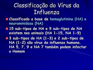 Classificação do Vírus da
          Influenza
Classificado a base de hemaglutinina (HA) e
neuraminidasa (NA)
15 sub-tipos de HA e 9 sub-tipos de NA
existem nos animais (HA 1-15, NA 1-9)
3 sub-tipos de HA (1-3) e 2 sub-tipos de
NA (1-2) são vírus da influenza humana.
HA 5, 7, 9 e NA 7 também podem infectar
o Homem
 