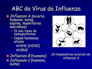 ABC do Vírus da Influenza
Influenza A (aviaria,
humana, suína,
eqüina, mamíferos
marinhos)
– 15 sub-tipos de
  hemaglutininas
– Cepas humanas
  atuais
    H1N1 (H1N2)
    H3N2
                        Os hospedeiros naturais da
Influenza B (humana)           influenza A
Influenza C (humana,
suína)
 