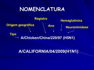 NOMENCLATURA
                    Registro
                                     Hemaglutinina
Origem geográfica              Ano      Neuraminidase

 Tipo
        A/Chicken/China/220/97 (H5N1)


        A/CALIFORNIA/04/2009(H1N1)
 