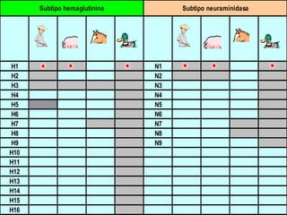 Subtipo hemaglutinina        Subtipo neuraminidasa




H1                            N1
H2                            N2
H3                            N3
H4                            N4
H5                            N5
H6                            N6
H7                            N7
H8                            N8
H9                            N9
H10
H11
H12
H13
H14
H15
H16
 