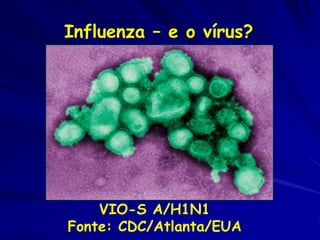 Influenza – e o vírus?




    VIO-S A/H1N1
Fonte: CDC/Atlanta/EUA
 