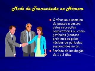 Modo da Transmissão no Homem

                O vírus se dissemina
                de pessoa a pessoa
                pelas secreções
                respiratórias ou como
                gotículas (contato
                próximo) ou pelos
                núcleos de gotículas
                suspendidos no ar. .
                Período de incubação
                de 1 a 3 dias
 