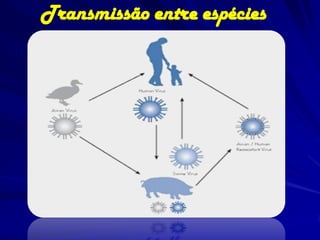 Transmissão entre espécies
 
