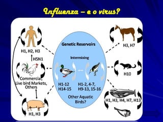 Influenza – e o virus?
 