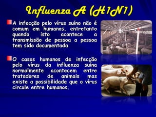 Influenza A (H1N1)
A infecção pelo vírus suíno não é
comum em humanos, entretanto
quando     isto    acontece     a
transmissão de pessoa a pessoa
tem sido documentada

O casos humanos de infecção
pelo vírus da influenza suína
normalmente acontecem entre
tratadores    de    animais   mas
existe a possibilidade que o vírus
circule entre humanos.
 