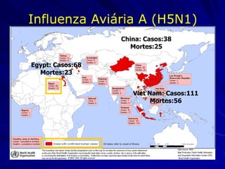 Influenza Aviária A (H5N1)
                  China: Casos:38
                     Mortes:25

Egypt: Casos:68
  Mortes:23


                     Viet Nam: Casos:111
                           Mortes:56
 