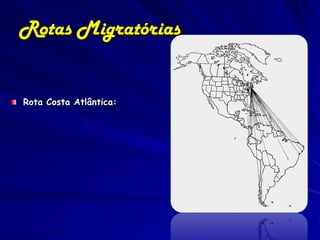 Rotas Migratórias


Rota Costa Atlântica:
 
