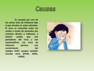 Es causada por uno de
los varios virus de Influenza tipo
A que circulan en estos animales.
El virus se transmite entre los
cerdos a través de aerosoles por
contacto directo o indirecto, y
existen cerdos que son
portadores del virus y son
asintomáticos. Los virus de
influenza porcina son
comúnmente del
subtipo H1N1 aunque también
circulan otros (H1N2, H3N1,
H3N2).
 