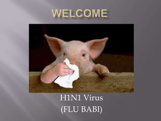 H1N1 Virus
(FLU BABI)

 