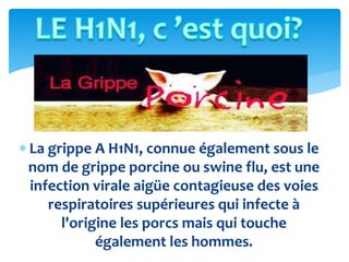  La grippe A H1N1, connue également sous le
nom de grippe porcine ou swine flu, est une
infection virale aigüe contagieuse des voies
respiratoires supérieures qui infecte à
l'origine les porcs mais qui touche
également les hommes.
 