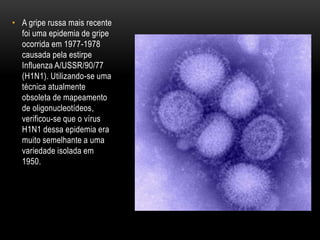 • A gripe russa mais recente
foi uma epidemia de gripe
ocorrida em 1977-1978
causada pela estirpe
Influenza A/USSR/90/77
(H1N1). Utilizando-se uma
técnica atualmente
obsoleta de mapeamento
de oligonucleotídeos,
verificou-se que o vírus
H1N1 dessa epidemia era
muito semelhante a uma
variedade isolada em
1950.
 
