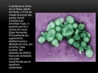 • A pandemia se iniciou
em La Gloria, distrito
de Perote, a 10 km da
criação de porcos das
granjas Carroll,
subsidiária da
Smithfield Foods. O
paciente zero foi o
menino de 4 anos
Edgar Hernandez.
Provavelmente seu
organismo foi
plataforma para a
alteração do vírus, que
se tornou "mais
humano". Em
dezembro de 2008 já
havia sido constatada
uma gripe
desconhecida que se
espalhava
rapidamente.
 