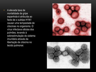 • A elevada taxa de
mortalidade da gripe
espanhola é atribuída ao
facto de o subtipo H1N1
causar uma tempestade de
citocinas no organismo. O
vírus infectava células dos
pulmões, levando à
sobrestimulação do sistema
imunitário através da
libertação de citocina no
tecido pulmonar.
 