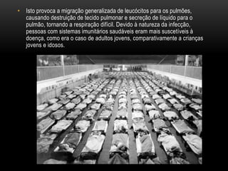 • Isto provoca a migração generalizada de leucócitos para os pulmões,
causando destruição de tecido pulmonar e secreção de líquido para o
pulmão, tornando a respiração difícil. Devido à natureza da infecção,
pessoas com sistemas imunitários saudáveis eram mais suscetíveis à
doença, como era o caso de adultos jovens, comparativamente a crianças
jovens e idosos.
 