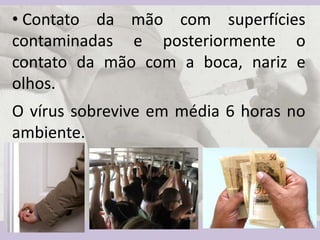 • Contato da mão com superfícies
contaminadas e posteriormente o
contato da mão com a boca, nariz e
olhos.
O vírus sobrevive em média 6 horas no
ambiente.