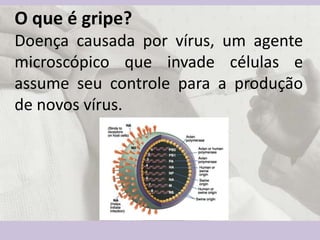 O que é gripe?
Doença causada por vírus, um agente
microscópico que invade células e
assume seu controle para a produção
d...