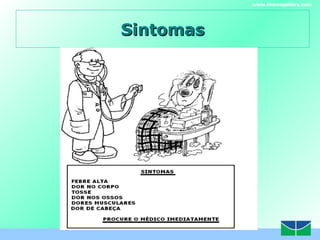 Sintomas www.themegallery.com 