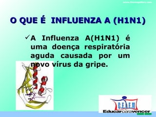 O QUE É  INFLUENZA A (H1N1) A Influenza A(H1N1) é uma doença respiratória aguda causada por um novo vírus da gripe.  www.themegallery.com C . E . L . E . M 