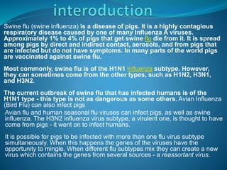 Swine flu (swine influenza) is a disease of pigs. It is a highly contagious
respiratory disease caused by one of many Influenza A viruses.
Approximately 1% to 4% of pigs that get swine flu die from it. It is spread
among pigs by direct and indirect contact, aerosols, and from pigs that
are infected but do not have symptoms. In many parts of the world pigs
are vaccinated against swine flu.
Most commonly, swine flu is of the H1N1 influenza subtype. However,
they can sometimes come from the other types, such as H1N2, H3N1,
and H3N2.
The current outbreak of swine flu that has infected humans is of the
H1N1 type - this type is not as dangerous as some others. Avian Influenza
(Bird Flu) can also infect pigs
Avian flu and human seasonal flu viruses can infect pigs, as well as swine
influenza. The H3N2 influenza virus subtype, a virulent one, is thought to have
come from pigs - it went on to infect humans.
It is possible for pigs to be infected with more than one flu virus subtype
simultaneously. When this happens the genes of the viruses have the
opportunity to mingle. When different flu subtypes mix they can create a new
virus which contains the genes from several sources - a reassortant virus.
 
