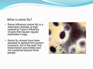 What is swine flu?
 Swine Influenza (swine flu) is a
respiratory disease of pigs
caused by Type A influenza
viruses that causes regular
outbreaks in pigs.
 Swine flu viruses have been
reported to spread from person-
to-person, but in the past, this
transmission was limited and
not sustained beyond three
people.
 