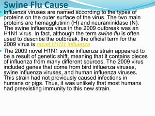 Swine Flu Cause
 Influenza viruses are named according to the types of
proteins on the outer surface of the virus. The two main
proteins are hemagglutinin (H) and neuraminidase (N).
The swine influenza virus in the 2009 outbreak was an
H1N1 virus. In fact, although the term swine flu is often
used to describe the outbreak, the official term for the
2009 virus is novel H1N1 influenza
 The 2009 novel H1N1 swine influenza strain appeared to
be a result of genetic shift, meaning that it contains pieces
of influenza from many different sources. The 2009 virus
included genes that come from bird influenza viruses,
swine influenza viruses, and human influenza viruses.
This strain had not previously caused infections in
humans or pigs. Thus, it was unlikely that most humans
had preexisting immunity to this new strain.
.
 