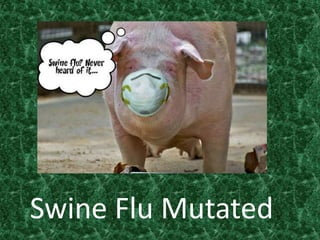 Swine Flu Mutated 