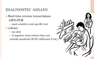 Doe Rrt H1 n1 swine flu | PDF