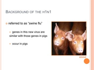 Background of the h1n1 referred to as “swine flu”genes in this new virus are similar with those genes in pigsoccur in pigsjohnmuk
