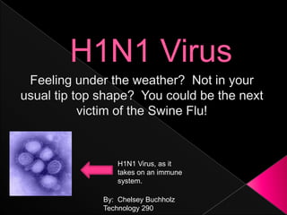 H1N1 Virus Feeling under the weather?  Not in your usual tip top shape?  You could be the next victim of the Swine Flu! H1N1 Virus, as it takes on an immune system.   By:  Chelsey Buchholz Technology 290 
