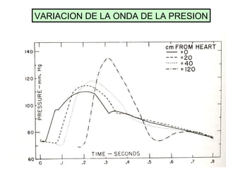 VARIACION DE LA ONDA DE LA PRESION 