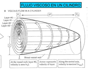 FLUJO VISCOSO EN UN CILINDRO 