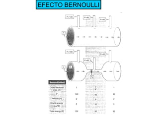EFECTO BERNOULLI 