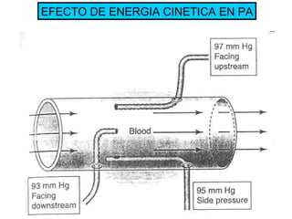 EFECTO DE ENERGIA CINETICA EN PA 