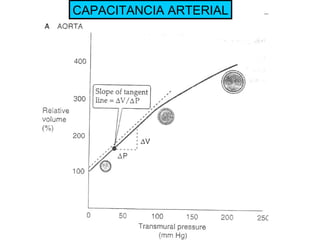 CAPACITANCIA ARTERIAL 