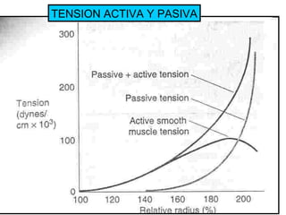 TENSION ACTIVA Y PASIVA 