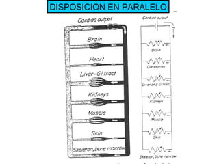 DISPOSICION EN PARALELO 