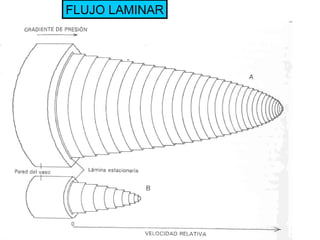 FLUJO LAMINAR 