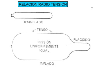 RELACION RADIO TENSION 