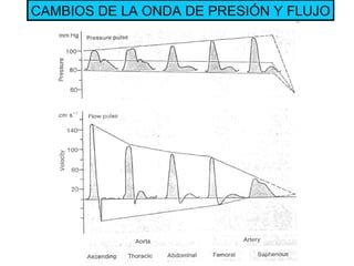 CAMBIOS DE LA ONDA DE PRESIÓN Y FLUJO 