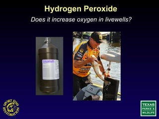 Hydrogen Peroxide Does it increase oxygen in livewells? 
