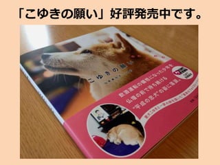 「こゆきの願い」好評発売中です。
 