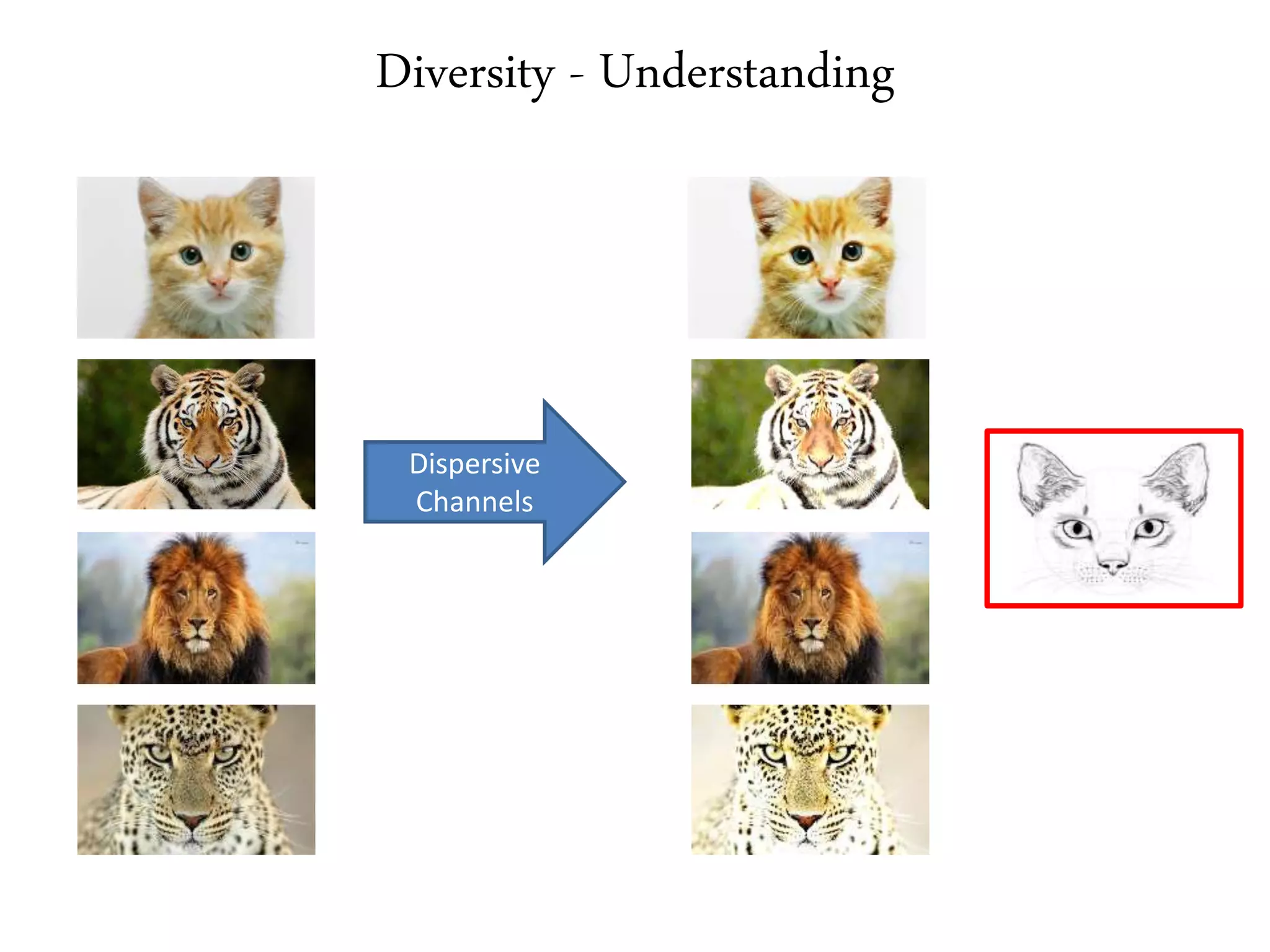 Diversity - Understanding
Dispersive
Channels
 